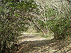 k24_32_thumb.png