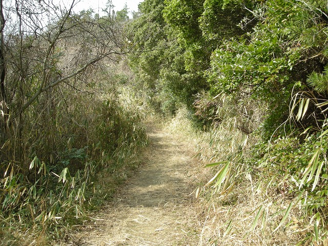 k24_35.jpg