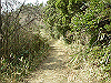 k24_35_thumb.png