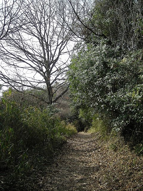 k24_36.jpg
