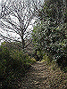 k24_36_thumb.png