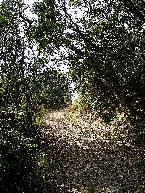 k24_37.jpg