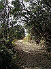 k24_37_thumb.png
