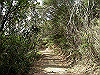 k24_38_thumb.png