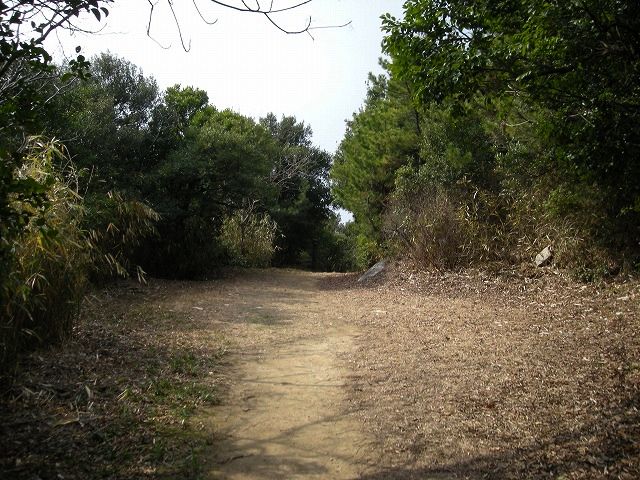 k24_39.jpg