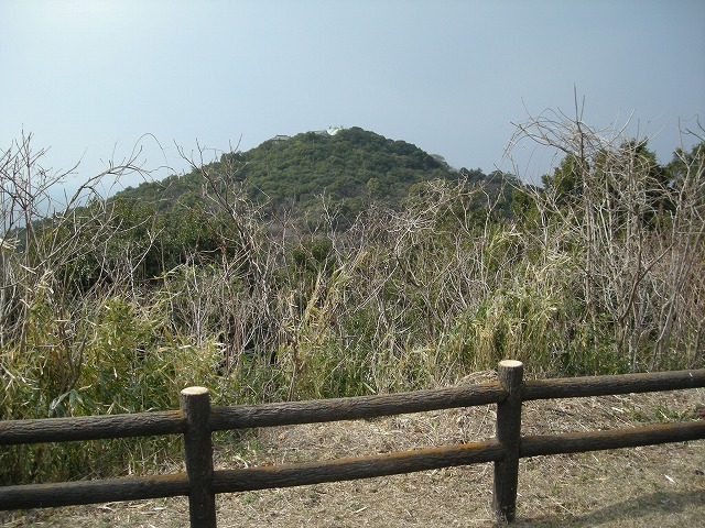 k24_43.jpg
