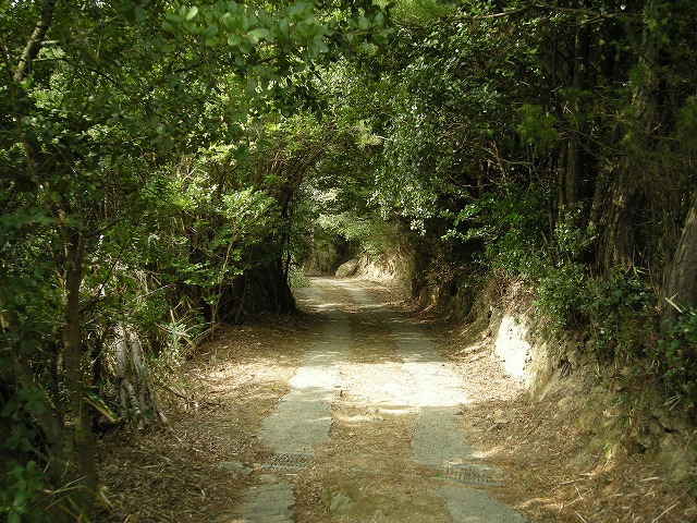 k24_47.jpg