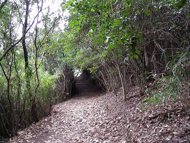 k24_50.jpg
