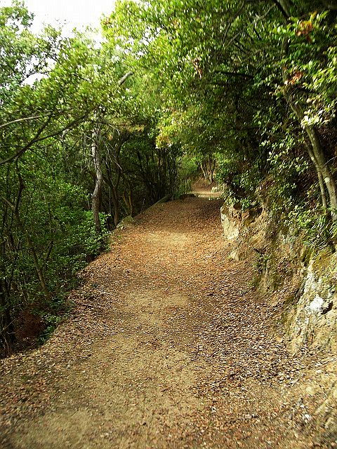 k24_53.jpg