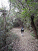 k24_54_thumb.png