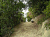 k24_59_thumb.png