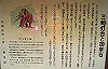 k24_61_thumb.png