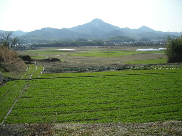 k25_14.jpg