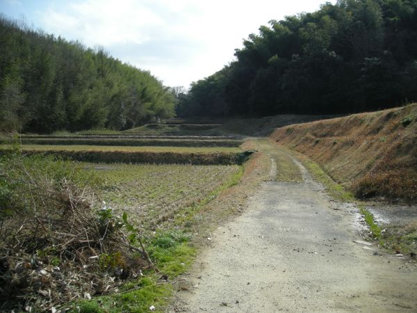 k25_35.jpg