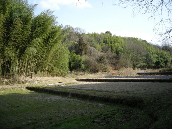 k25_36.jpg