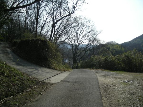 k25_40.jpg