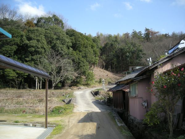 k25_47.jpg