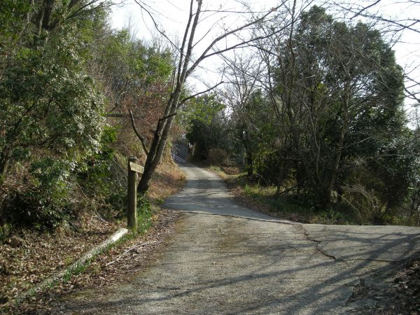 k25_48.jpg
