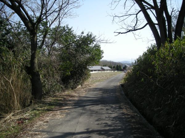 k27_81.jpg