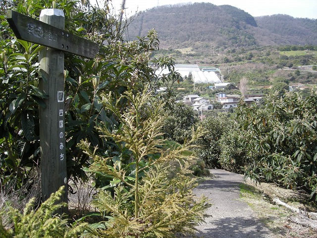 k28_019.jpg