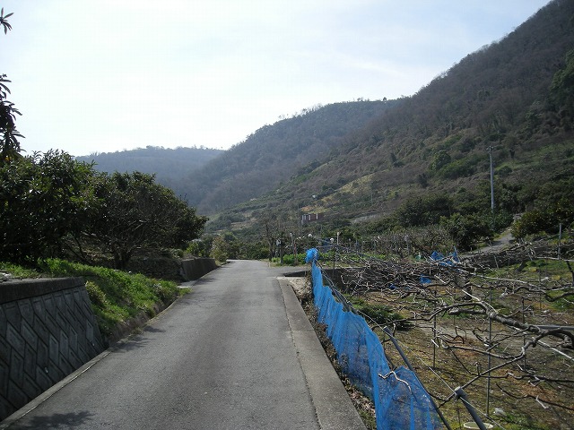 k28_031.jpg