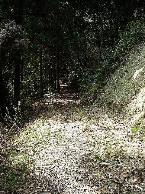 k28_040.jpg