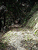k28_040_thumb.png