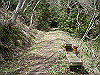 k28_048_thumb.png