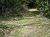 k28_049_thumb.png