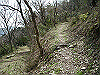 k28_050_thumb.png