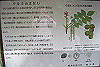 k28_053_thumb.png