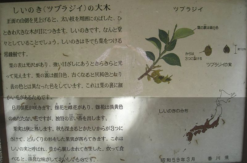 k28_058.jpg