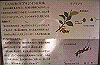 k28_058_thumb.png