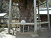 k28_069_thumb.png