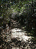k28_079_thumb.png