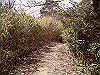 k28_091_thumb.png