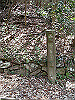 k28_110_thumb.png