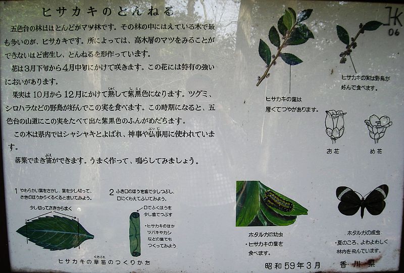 k28_114.jpg