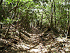 k28_116_thumb.png