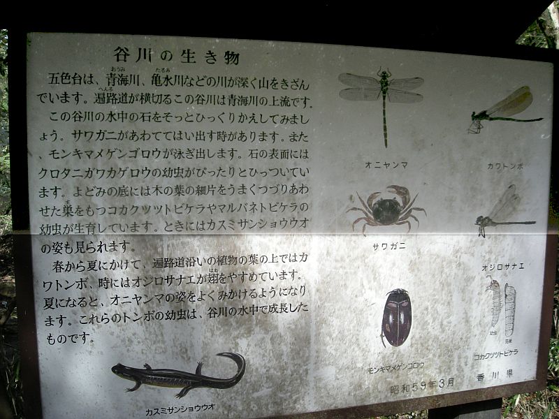 k28_122.jpg