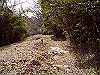 k28_126_thumb.png