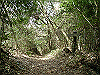 k28_132_thumb.png