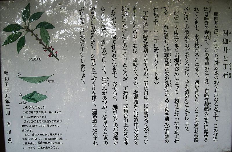 k28_136.jpg
