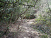 k28_137_thumb.png