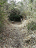 k28_145_thumb.png