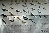 k28_146_thumb.png