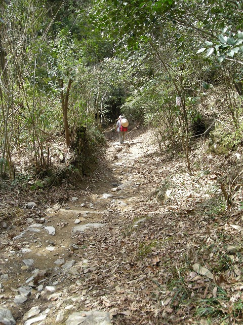 k28_158.jpg