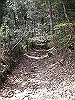 k28_159_thumb.png