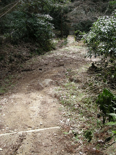 k28_160.jpg