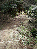 k28_160_thumb.png